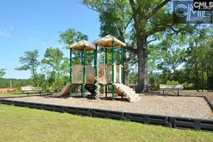 310 Explorer Dr, Chapin, SC 29036 - Photo 26