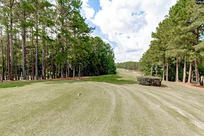 193 Crimson Queen Drive, Blythewood, SC 29016 - Photo 48