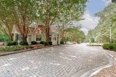 193 Crimson Queen Drive, Blythewood, SC 29016 - Photo 38