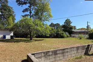 1960 Drexel Lake, Columbia, SC 29223 - Photo 12