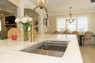 377 Dragonfly Drive, Lexington, SC 29072 - Photo 18