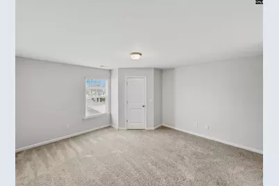 339 Gum Swamp Trail, West Columbia, SC 29169 - Photo 16