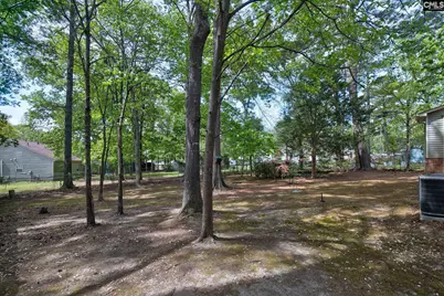 1113 Riverwalk Way, Irmo, SC 29063 - Photo 22