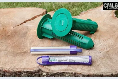 145 Dew Blossom Drive, Lexington, SC 29073 - Photo 34