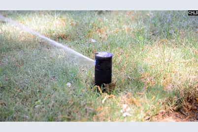 145 Dew Blossom Drive, Lexington, SC 29073 - Photo 32