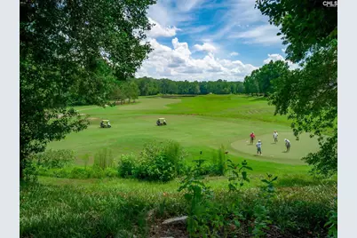 213 Sunningdale Court, Lexington, SC 29072 - Photo 72