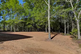 4179 Sc Hwy 773, Pomaria, SC 29126 - Photo 56