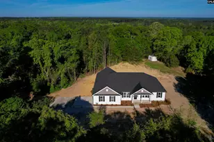 4195 Sc Hwy 773, Pomaria, SC 29126 - Photo 1