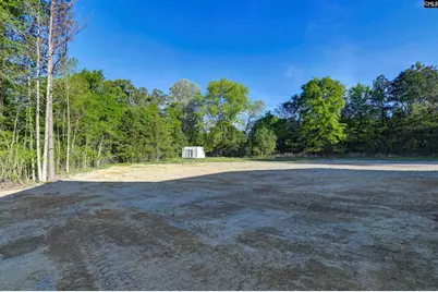 4195 Sc Highway 773, Pomaria, SC 29126 - Photo 8