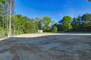 4195 Sc Hwy 773, Pomaria, SC 29126 - Photo 8