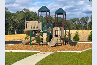 664 Cloudreach Road, Lexington, SC 29072 - Photo 30