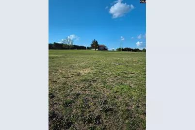 168 Big Pine Rd, Newberry, SC 29108 - Photo 6