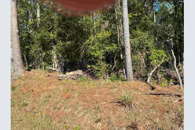 0 Mud Creek Road, Newberry, SC 29108 - Photo 10