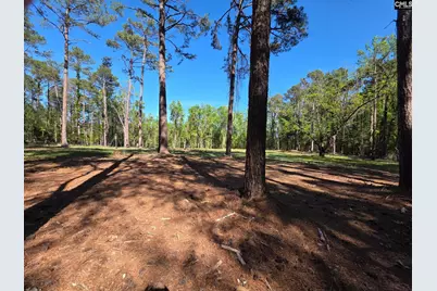 0 Mud Creek Road, Newberry, SC 29108 - Photo 2