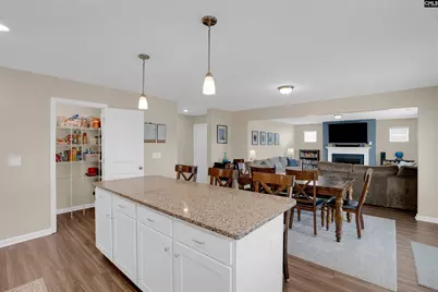 310 Ollivander Lane, Elgin, SC 29045 - Photo 14