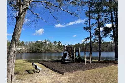 552 Corkscrew Lane, Blythewood, SC 29016 - Photo 32