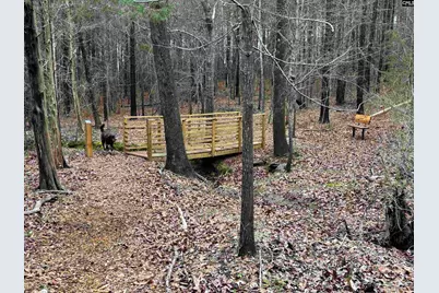 1008 Jones Road, Irmo, SC 29063 - Photo 40