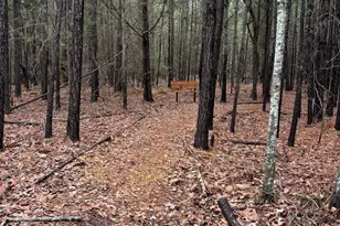 1008 Jones Rd, Irmo, SC 29063 - Photo 38