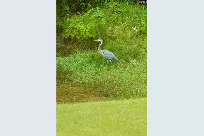 1008 Jones Road, Irmo, SC 29063 - Photo 36