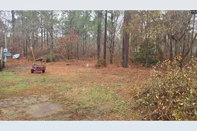 165 Landfill Lane, Lexington, SC 29073 - Photo 4