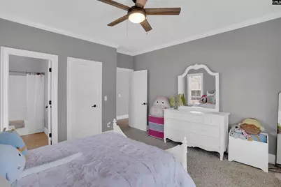 149 Lakeport Drive, Chapin, SC 29036 - Photo 28