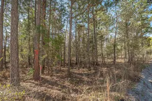 1404 Mt Zion Rd, Cassatt, SC 29032 - Photo 6