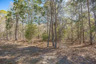 1404 Mount Zion Road, Cassatt, SC 29032 - Photo 10