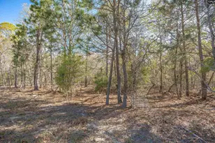 1404 Mt Zion Rd, Cassatt, SC 29032 - Photo 10