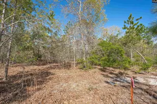 1404 Mt Zion Rd, Cassatt, SC 29032 - Photo 8