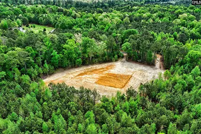 660 Ridge Road, Leesville, SC 29070 - Photo 6