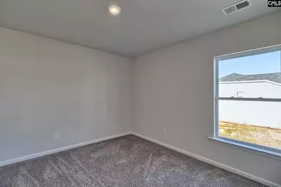 193 Calm Citadel Drive, Pelion, SC 29123 - Photo 24