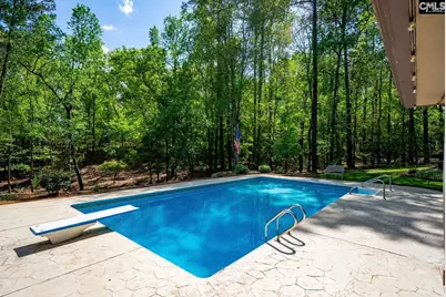 172 Oliver Metze Road, Lexington, SC 29072 - Photo 58