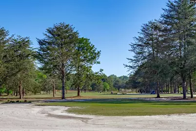 135 Clubhouse Drive, West Columbia, SC 29172 - Photo 52