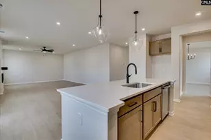 20 Spider Web Ct, Blythewood, SC 29016 - Photo 26