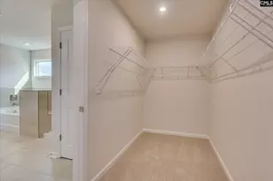 20 Spider Web Ct, Blythewood, SC 29016 - Photo 50