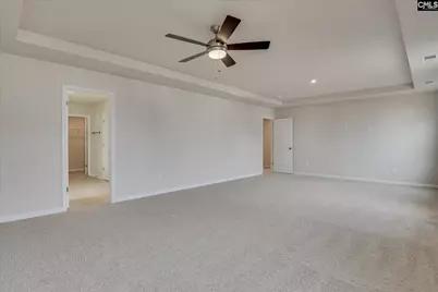 20 Spider Web Court, Blythewood, SC 29016 - Photo 42