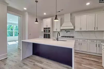 246 Backspin Drive, Elgin, SC 29045 - Photo 4