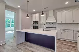 246 Backspin Dr, Elgin, SC 29045 - Photo 4