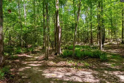 102 Warner Woods Road, Lexington, SC 29072 - Photo 34