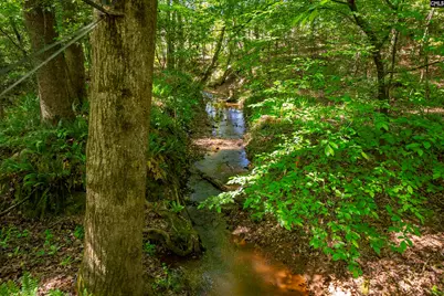 102 Warner Woods Road, Lexington, SC 29072 - Photo 36