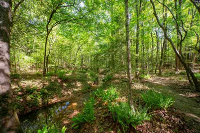 102 Warner Woods Road, Lexington, SC 29072 - Photo 38