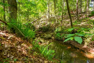 102 Warner Woods Rd, Lexington, SC 29072 - Photo 40