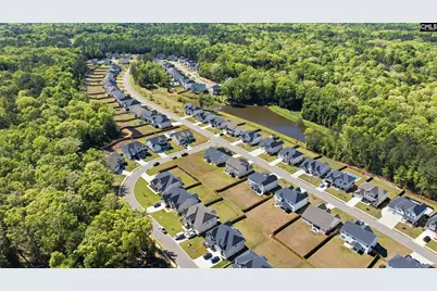 514 Wild Ginger Loop, Irmo, SC 29063 - Photo 52