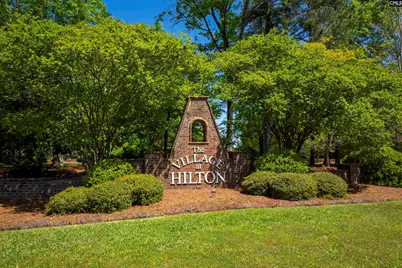 2 Hilton Glen Court, Chapin, SC 29036 - Photo 1
