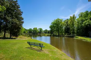 2 Hilton Glen Ct, Chapin, SC 29036 - Photo 20