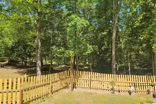 532 Rose Sharon Dr, Lexington, SC 29072 - Photo 8