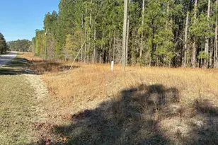 0 0 East Old Camden Hwy, Darlington, SC 29550 - Photo 1