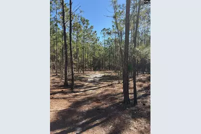 0 0 East Old Camden Hwy, Darlington, SC 29550 - Photo 6