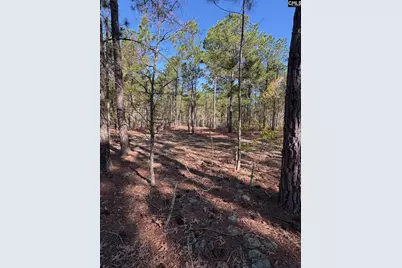 0 0 East Old Camden Hwy, Darlington, SC 29550 - Photo 2