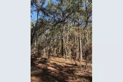 0 0 East Old Camden Hwy, Darlington, SC 29550 - Photo 4